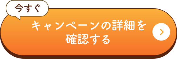 今すぐキャンペーンの詳細を確認する